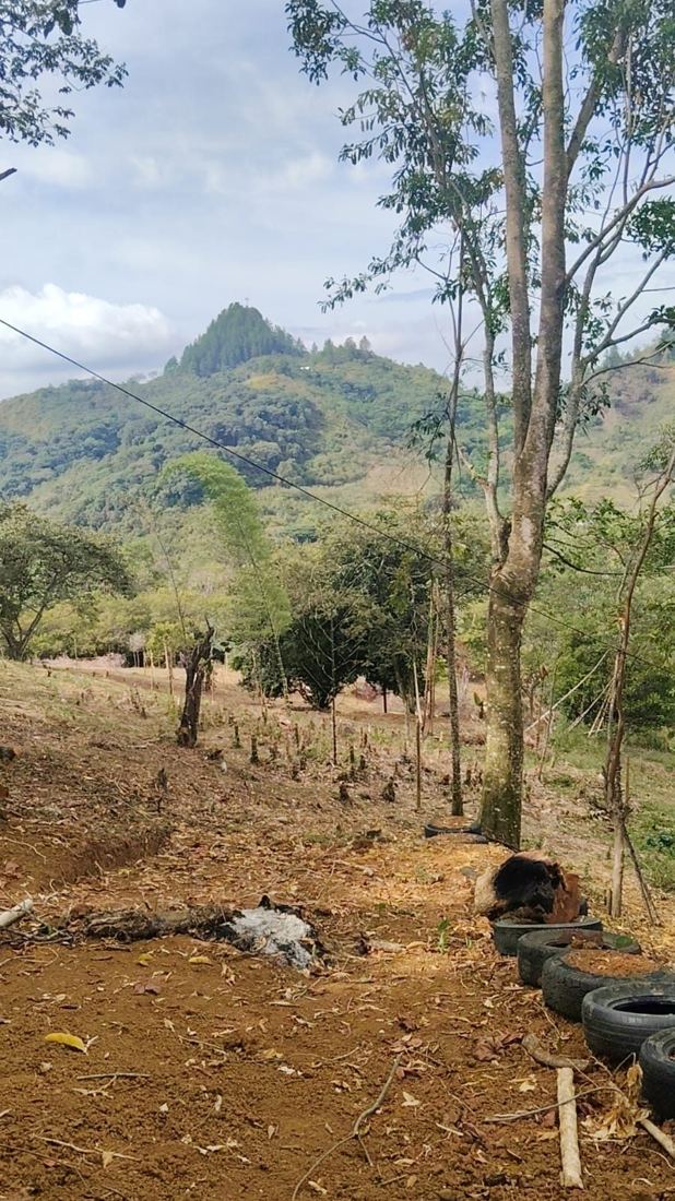 Terreno de Terra Valle en San Vicente, Jamundí