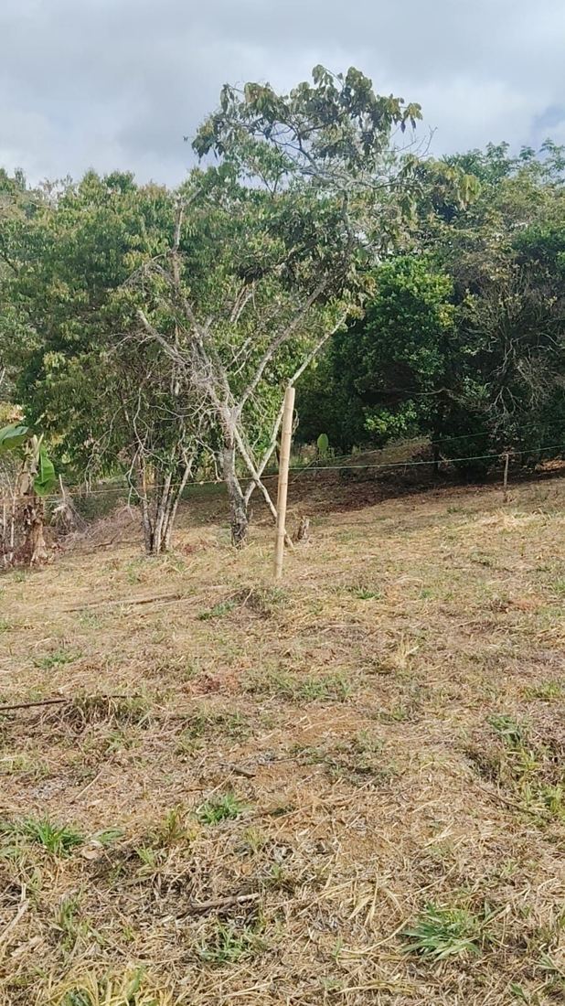 Terreno de Terra Valle en San Vicente, Jamundí