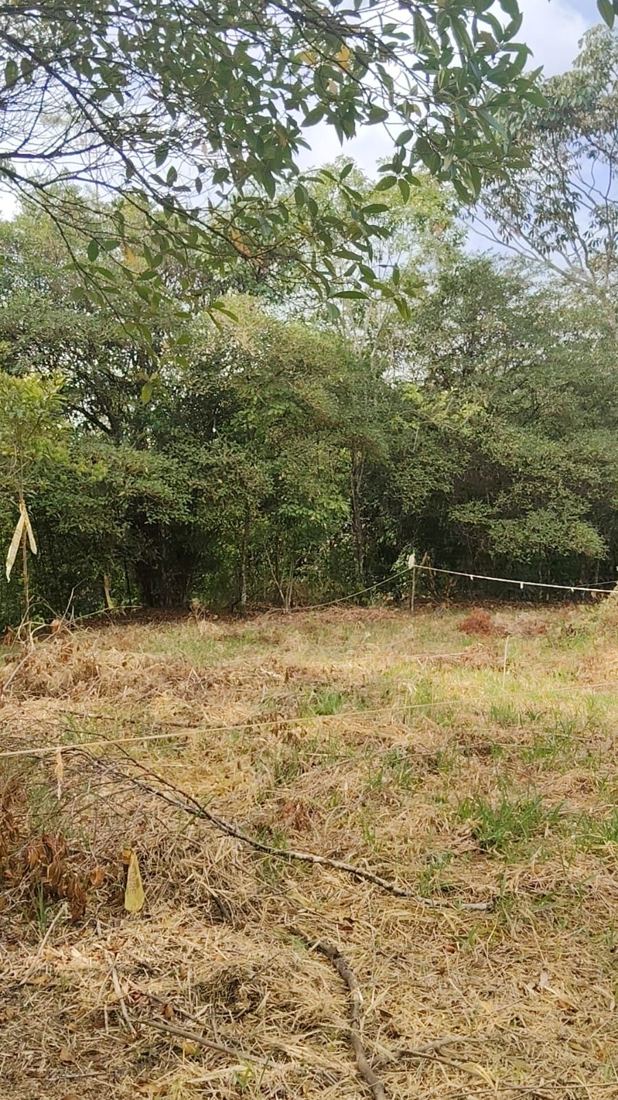 Terreno de Terra Valle en San Vicente, Jamundí
