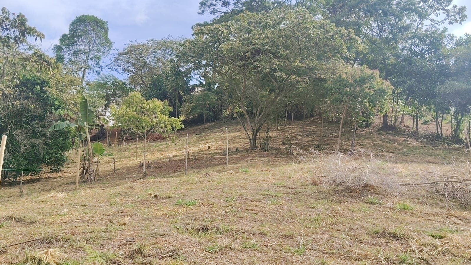 Lomas del terreno de Terra Valle, con árboles y linderos